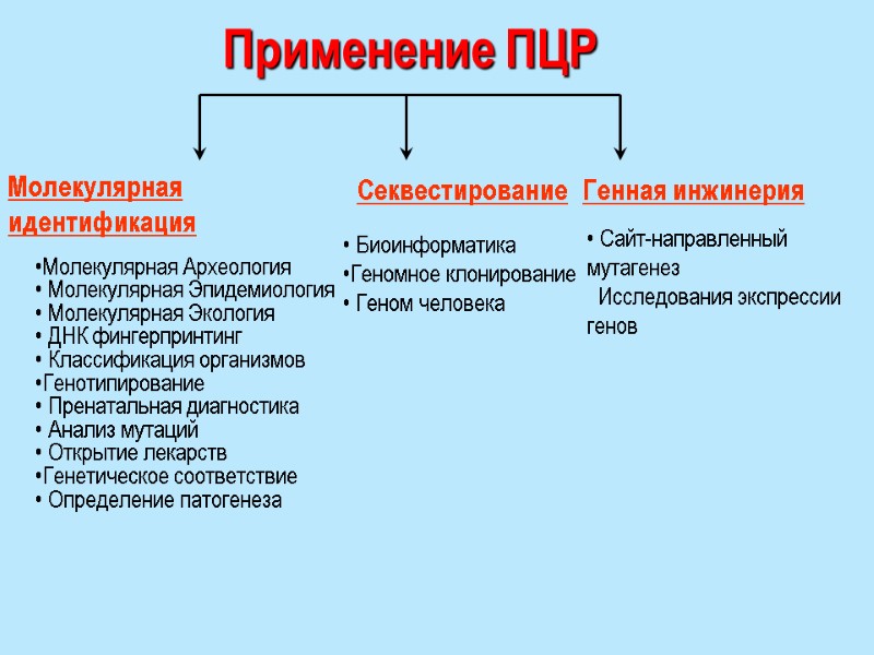 Применение ПЦР Молекулярная идентификация Секвестирование Генная инжинерия Молекулярная Археология  Молекулярная Эпидемиология  Молекулярная